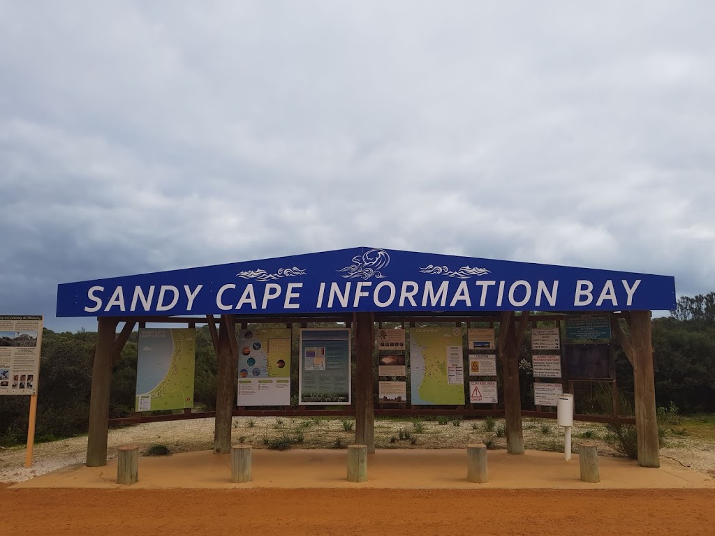Sandy Cape Recreation Park | campground | Sandy Cape Rd, Jurien Bay WA 6516, Australia | 0896520870 OR +61 8 9652 0870