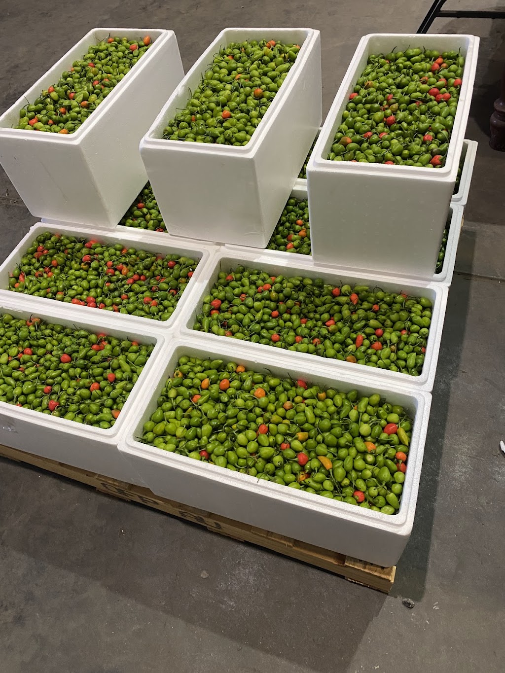 Healthy World | 9 Ellenbrae St, Orange NSW 2800, Australia | Phone: 0402 339 704