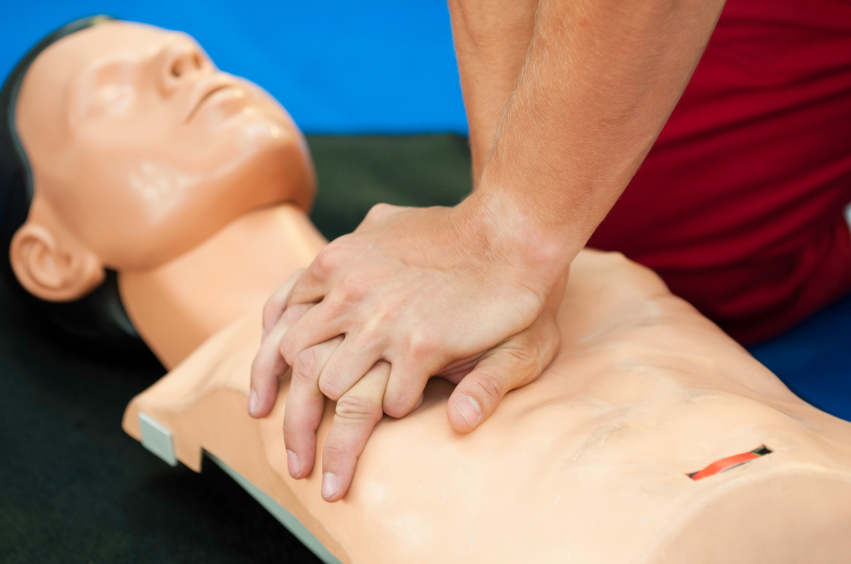 First Aid Course Hervey bay | travel agency | Whale Bay Marina, Buccaneer Dr, Urangan QLD 4655, Australia | 0423312359 OR +61 423 312 359