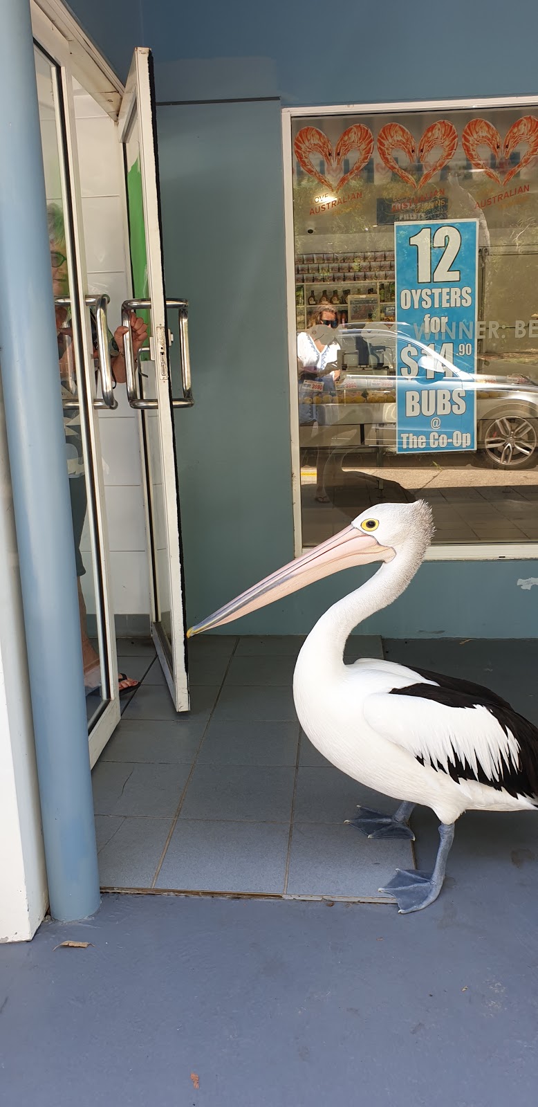 Fishermans wharf Seafood | meal takeaway | 1 Teramby Rd, Nelson Bay NSW 2315, Australia | 0249843917 OR +61 2 4984 3917