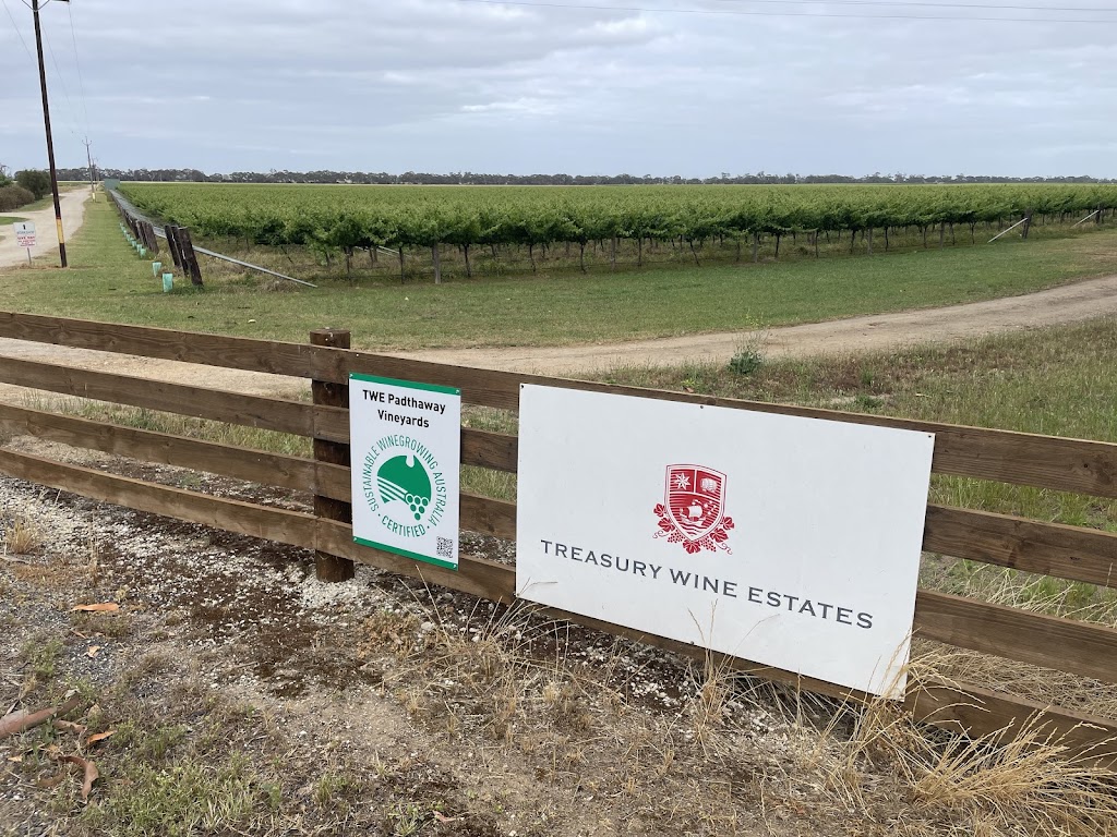 Treasury Wine Estates Padthaway Vineyards | 6558 Riddoch Hwy, Padthaway SA 5271, Australia | Phone: 0413 601 283