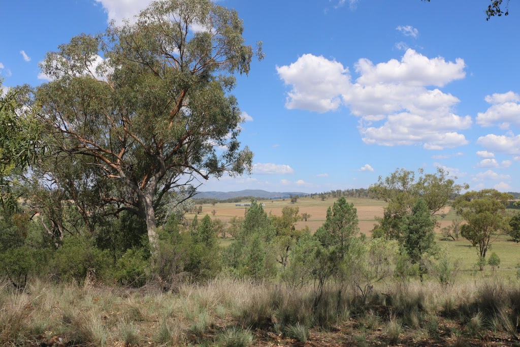 Myall Creek Memorial Site | Whitlow Rd, Myall Creek NSW 2403, Australia