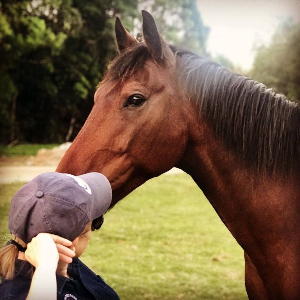 Neisha Cass Counselling + Equine Assisted Therapy | Equine Assisted Therapy Australia, 309 Petsch Creek Rd, Tallebudgera Valley QLD 4228, Australia | Phone: 0422 600 693