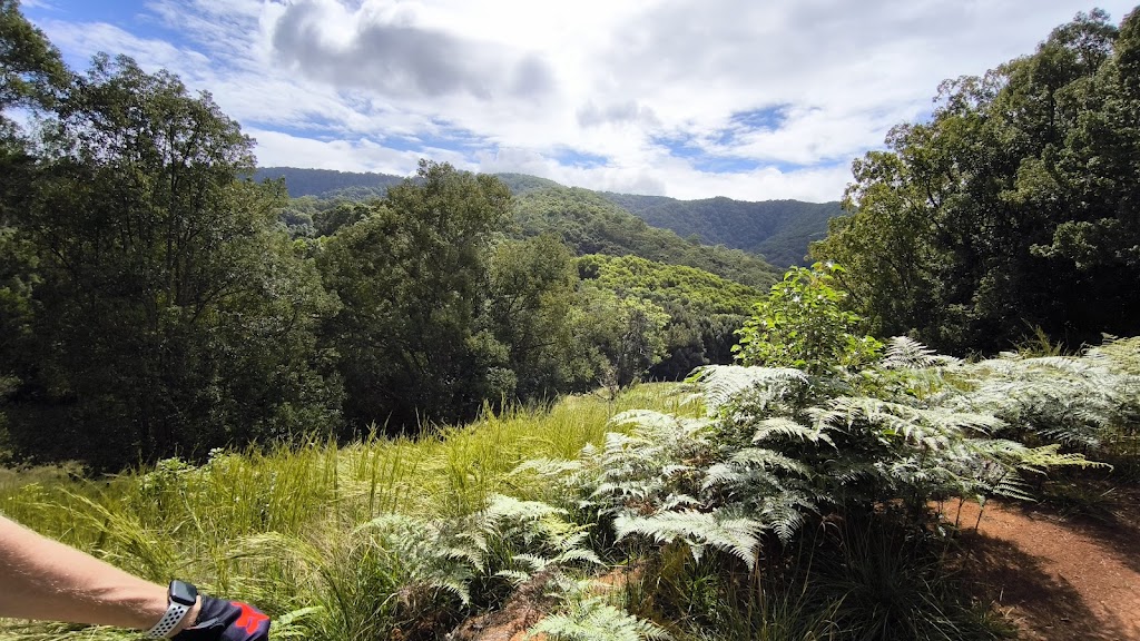 Uki Mountain Bike Park | 165 Smiths Creek Rd, Smiths Creek NSW 2484, Australia | Phone: (02) 6670 2530