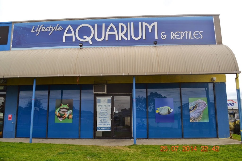 Lifestyle Aquarium & Reptiles | pet store | 13/445 Grimshaw St, Bundoora VIC 3083, Australia | 0394667881 OR +61 3 9466 7881