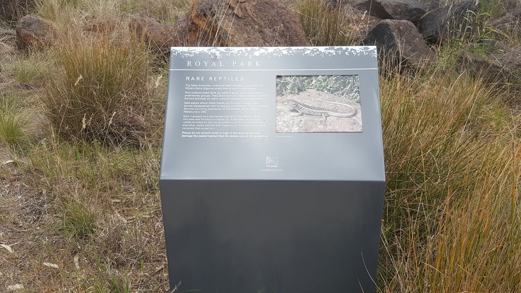 Melbourne Royal Park Whites Skink Habitat | Parkville VIC 3052, Australia