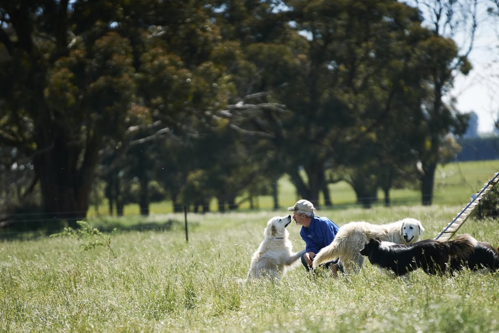 Milking Yard Farm | Chanters Ln, Trentham East VIC 3458, Australia | Phone: 0412 105 385