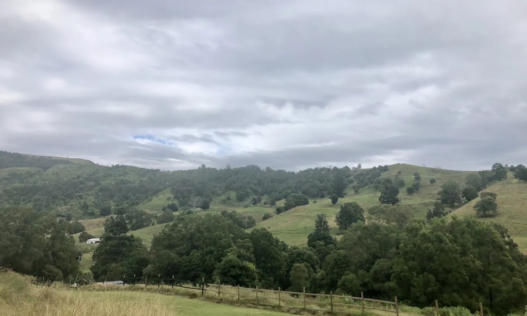 Mountain View Guest Rooms | 249 A Flying Fox Rd, Beechmont QLD 4275, Australia | Phone: 0422 479 865