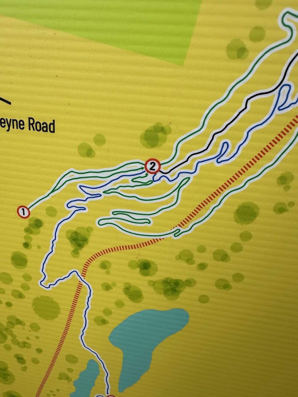 Kanbyugal Mountain Bike Trail Network | N Steyne Rd, Woodbine NSW 2560, Australia | Phone: (02) 4645 4000