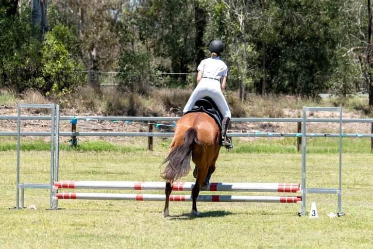 Millies Pony Paradise Riding School | 17 Eastwood Ct, Jimboomba QLD 4280, Australia | Phone: 0412 177 757