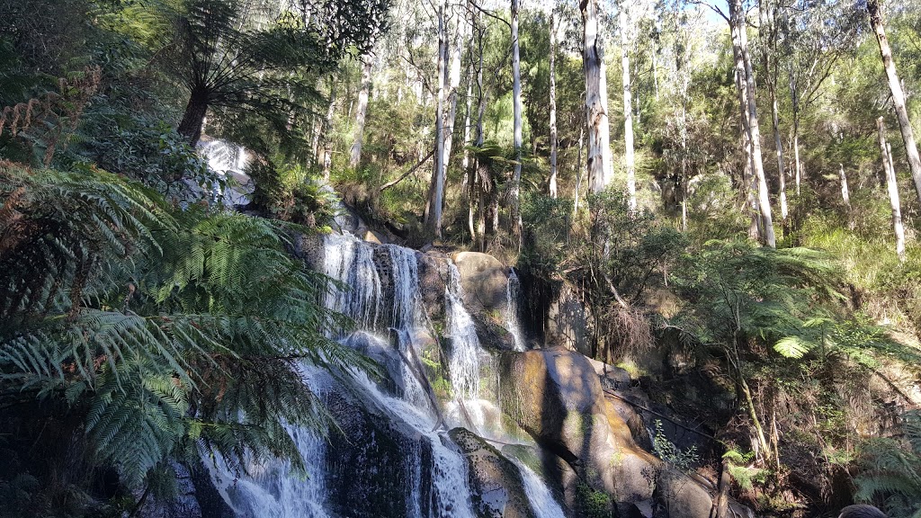 Toorongo Falls Reserve | park | 640 Toorongo Valley Rd, Noojee VIC 3833, Australia | 0356242411 OR +61 3 5624 2411