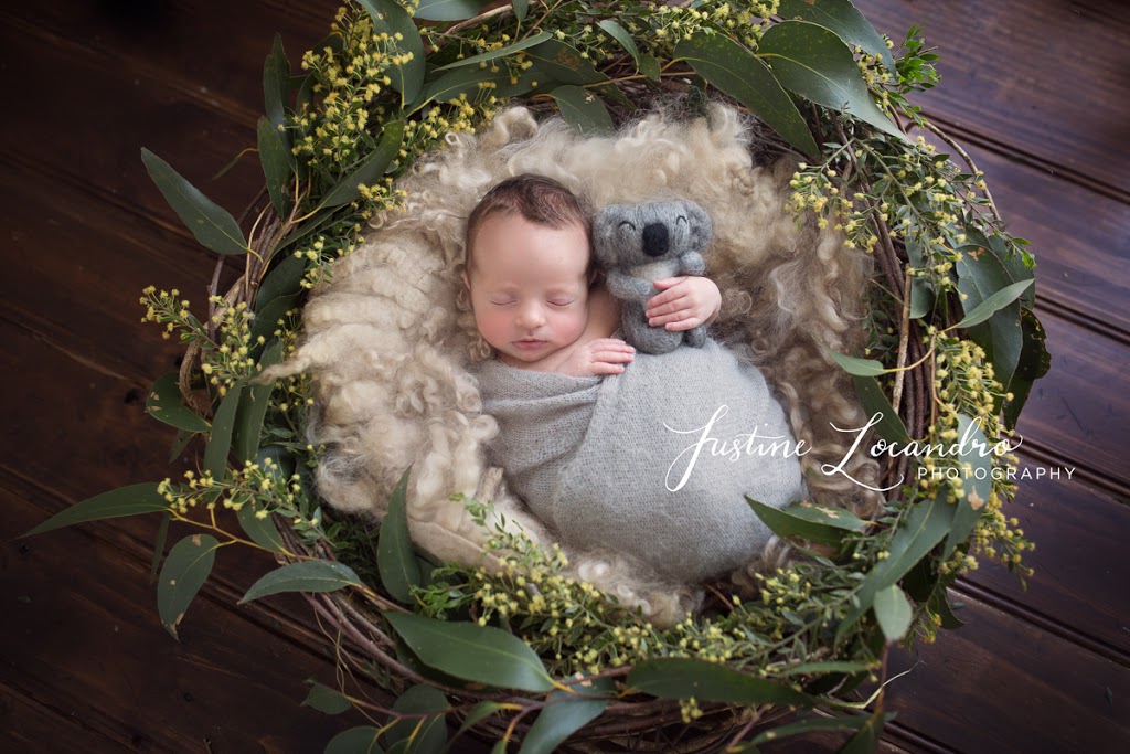 Justine Locandro Photography |  | 115 Fisken Rd, Mount Helen VIC 3350, Australia | 0424851382 OR +61 424 851 382