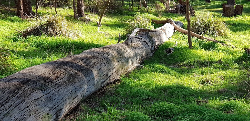 Mullum Mullum Trail | Mullum Mullum Trail, Warrandyte VIC 3113, Australia