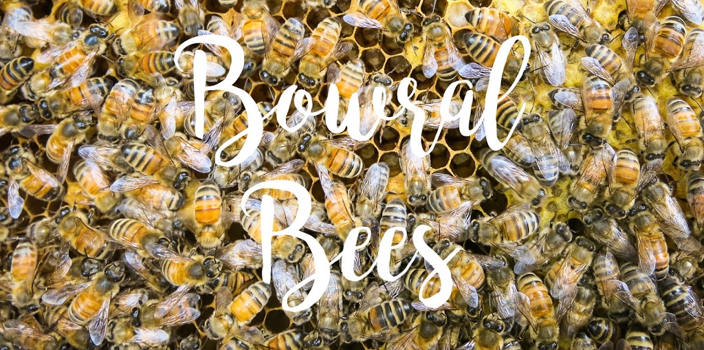 Bowral Bees |  | 543 Moss Vale Rd, Burradoo NSW 2576, Australia | 0403822281 OR +61 403 822 281