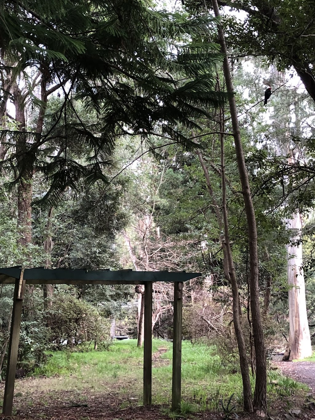 Kookaburras Perch Tiny House | 113 Wonga Rd, Millgrove VIC 3799, Australia | Phone: 0413 123 926