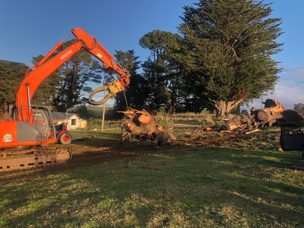 ALL TREE SOLUTIONS | East Devonport TAS 7310, Australia | Phone: 0448 043 474