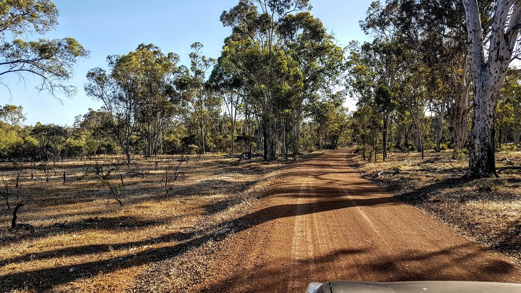 Wandoo National Park | Catchment Rd, Mount Observation WA 6302, Australia | Phone: (08) 9290 6100