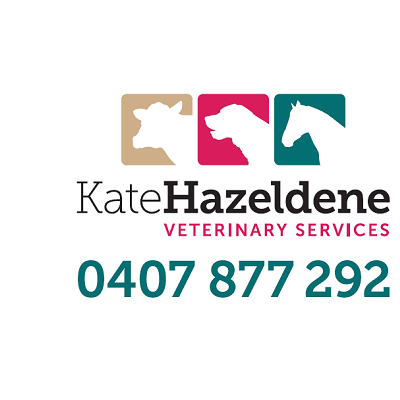 Kate Hazeldene Veterinary Services | veterinary care | 65 Barkly St, Benalla VIC 3672, Australia | 0407877292 OR +61 407 877 292