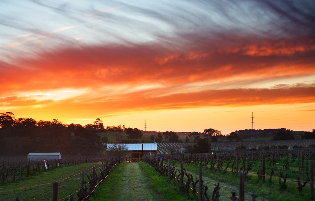 Hayes Family Wines | 102 Mattiske Rd, Stone Well SA 5352, Australia | Phone: 0499 096 812