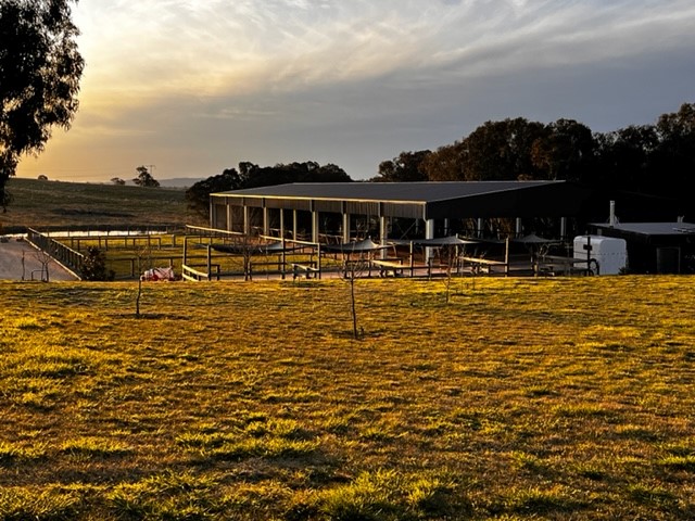 Winterwood Sport Horses |  | 251 St Anthonys Creek Rd, Glanmire NSW 2795, Australia | 0428101105 OR +61 428 101 105