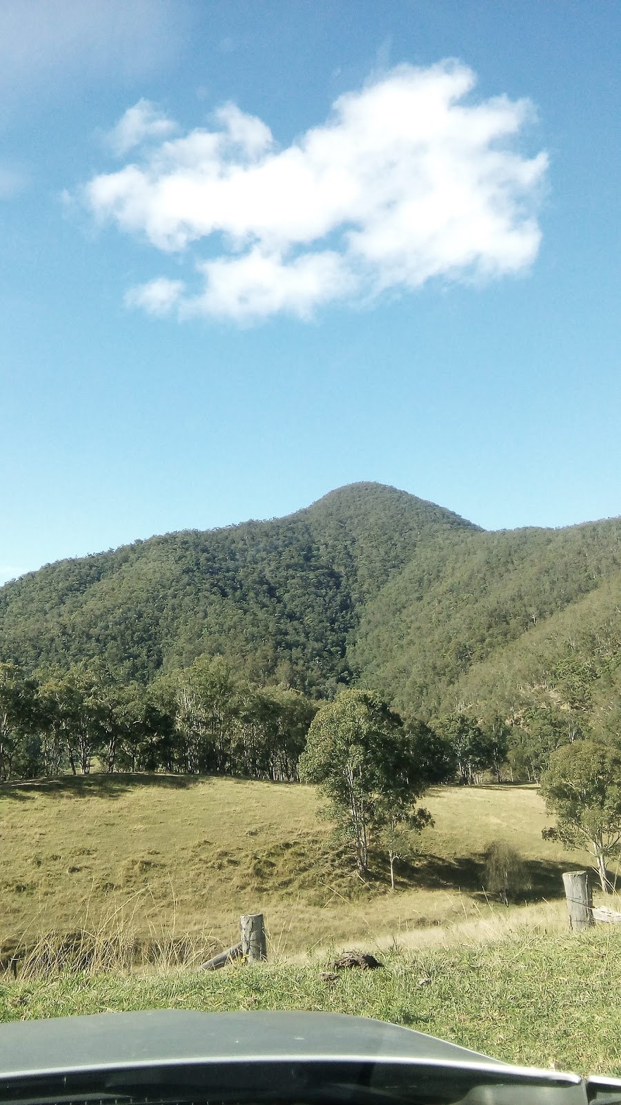 Cunnawarra National Park | Lower Creek NSW 2440, Australia | Phone: 1300 072 757