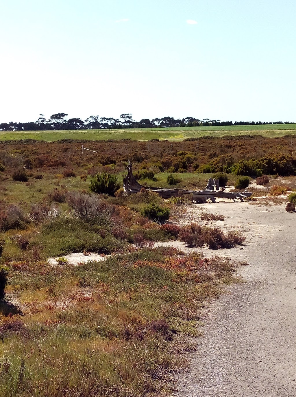 Limeburners Lagoon State Nature Reserve | 150/200 Foreshore Rd, Corio VIC 3214, Australia