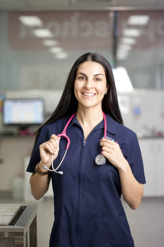 Petstock Vet Corio | 290 Princes Hwy, Corio VIC 3214, Australia | Phone: (03) 5274 2800