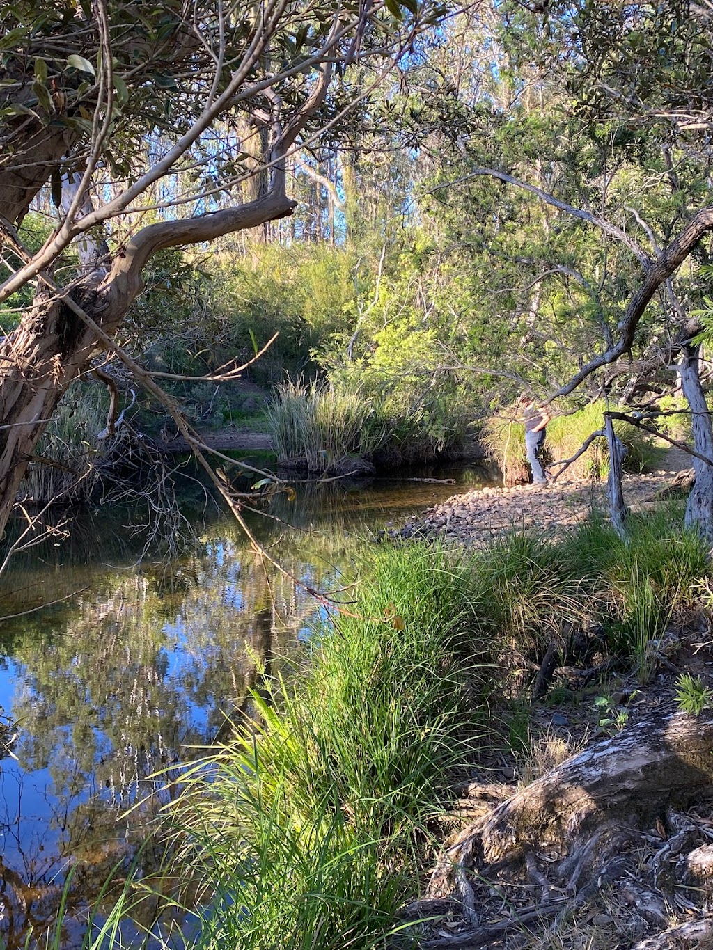 Platypus Point | Platypus Point, 6054 Bruxner Hwy, Tabulam NSW 2469, Australia | Phone: 0412 130 794
