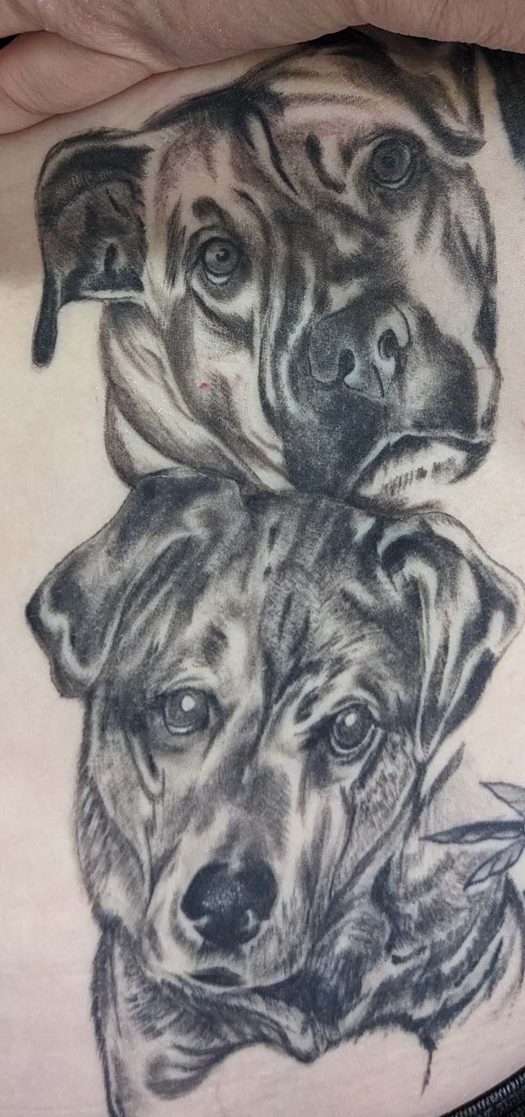 Kings Of Ink | shop 1/151 Princes Wy, Drouin VIC 3818, Australia | Phone: (03) 5627 0105
