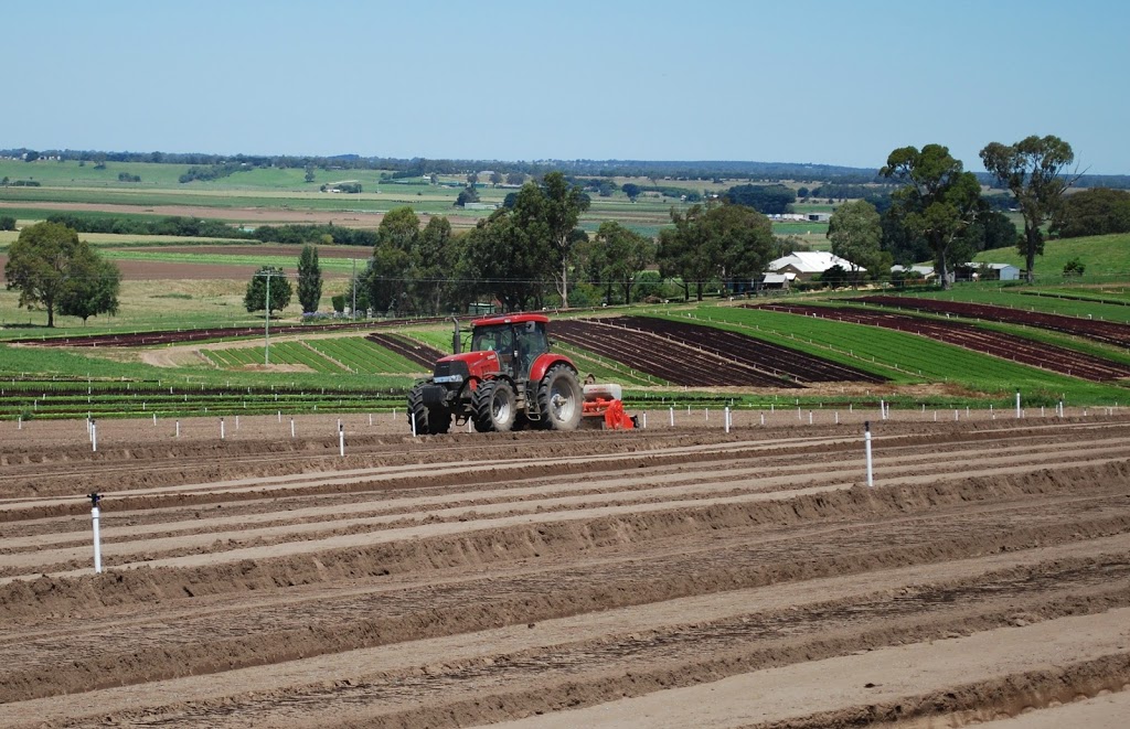 Bulmer Farms | 30 Bulmers Rd, Lindenow VIC 3865, Australia | Phone: (03) 5157 1709