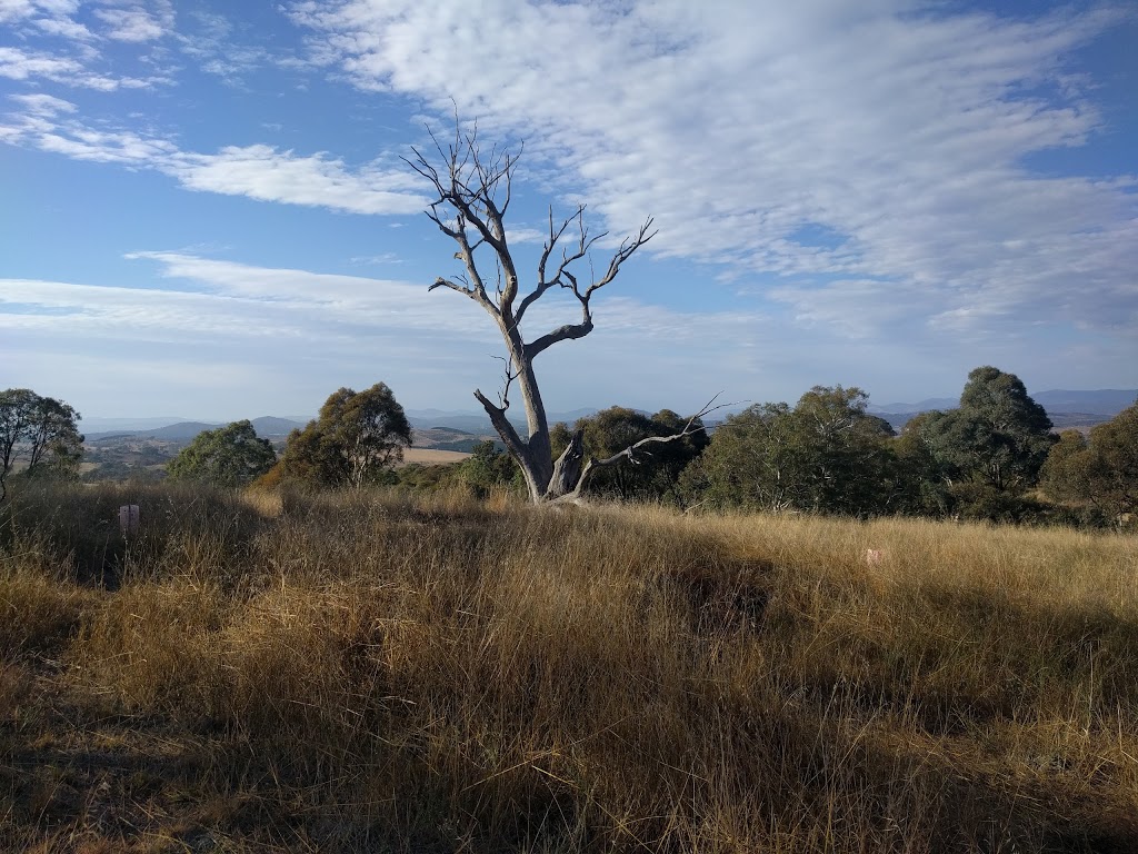 The Pinnacle Nature Reserve | park | Australian Capital Territory 2615, Australia