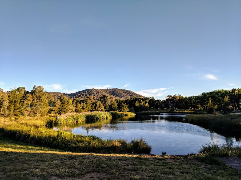 Dickson Wetland | park | Hawdon and, Dutton St, Dickson ACT 2602, Australia | 132281 OR +61 132281