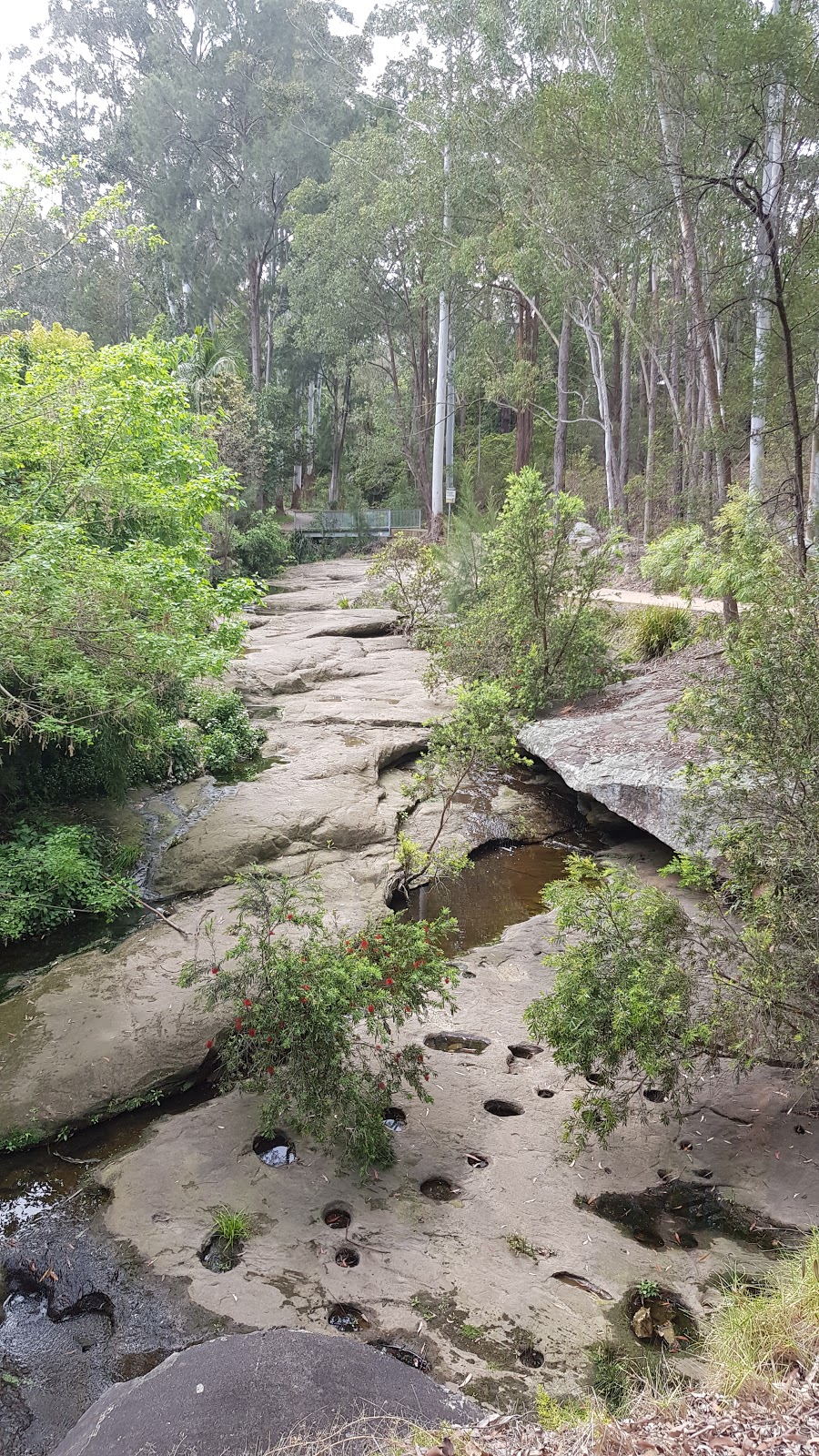 North Rocks Wildlife Sanctuary | park | Hunts Creek, North Rocks NSW 2151, Australia