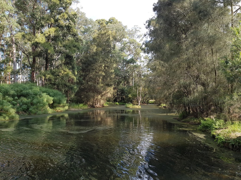 The Lakes of Cherrybrook | Cherrybrook NSW 2126, Australia | Phone: (02) 9874 6666