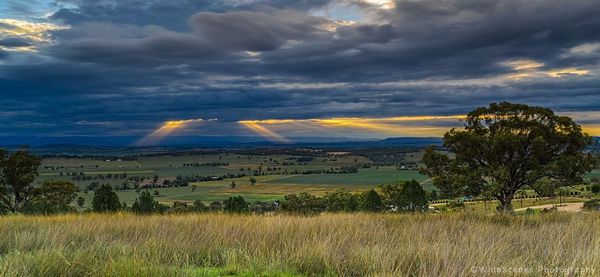 The Saddlery | 72 George St, Quirindi NSW 2343, Australia | Phone: 0490 073 532