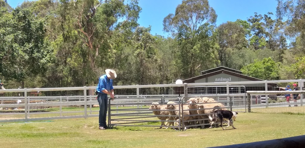 Paradise Country | zoo | Production Drive, Oxenford QLD 4210, Australia | 133386 OR +61 133386