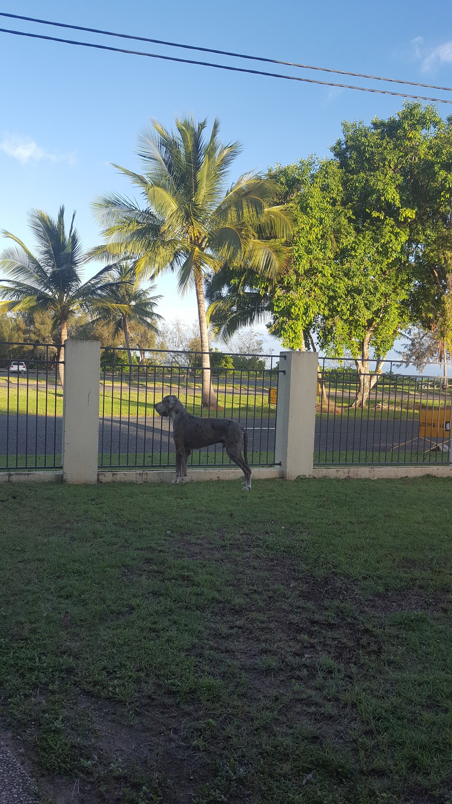 Beachside Bed & Breakfast | lodging | 14 Binnington Esplanade, Mackay QLD 4740, Australia | 0413882377 OR +61 413 882 377