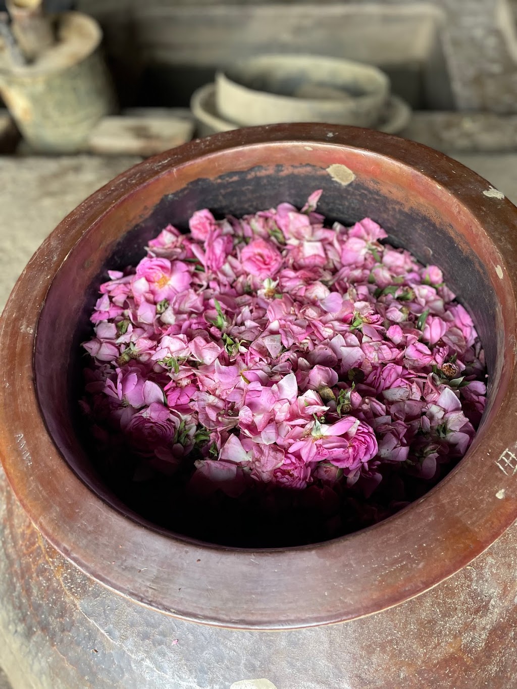 Cura Co.Lab | 501 Rosebank Rd, Rosebank NSW 2480, Australia | Phone: 0416 206 039