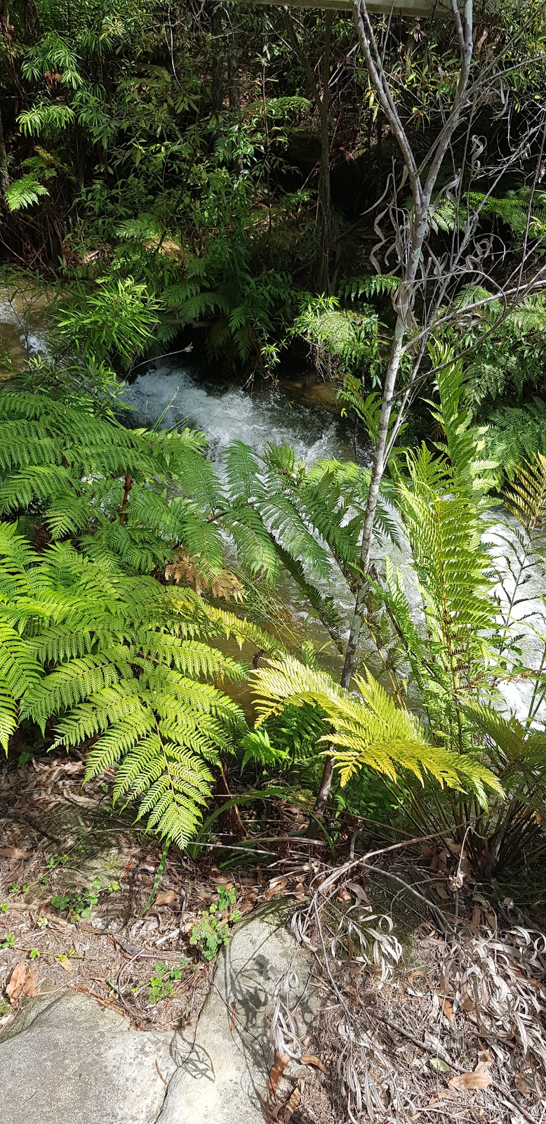 Mermaid Pool | park | 93/97 King St, Manly Vale NSW 2093, Australia