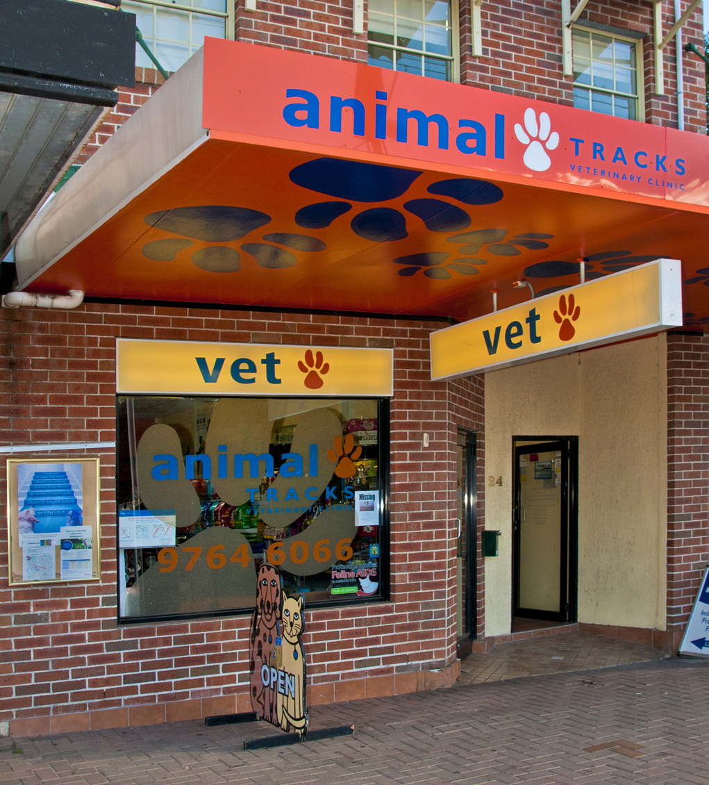 Animal Tracks Veterinary Clinic | veterinary care | 24 The Crescent, Homebush NSW 2140, Australia | 0297646066 OR +61 2 9764 6066
