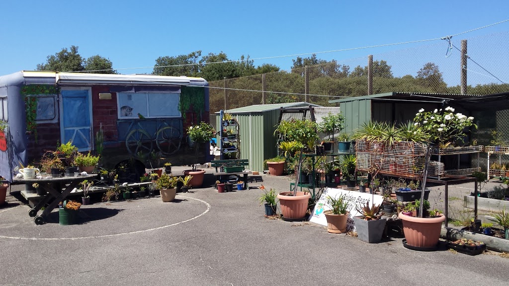 Golden Beach Community Nursery | 1/19 Surf Edge Dr, Golden Beach VIC 3851, Australia | Phone: (03) 5146 3447