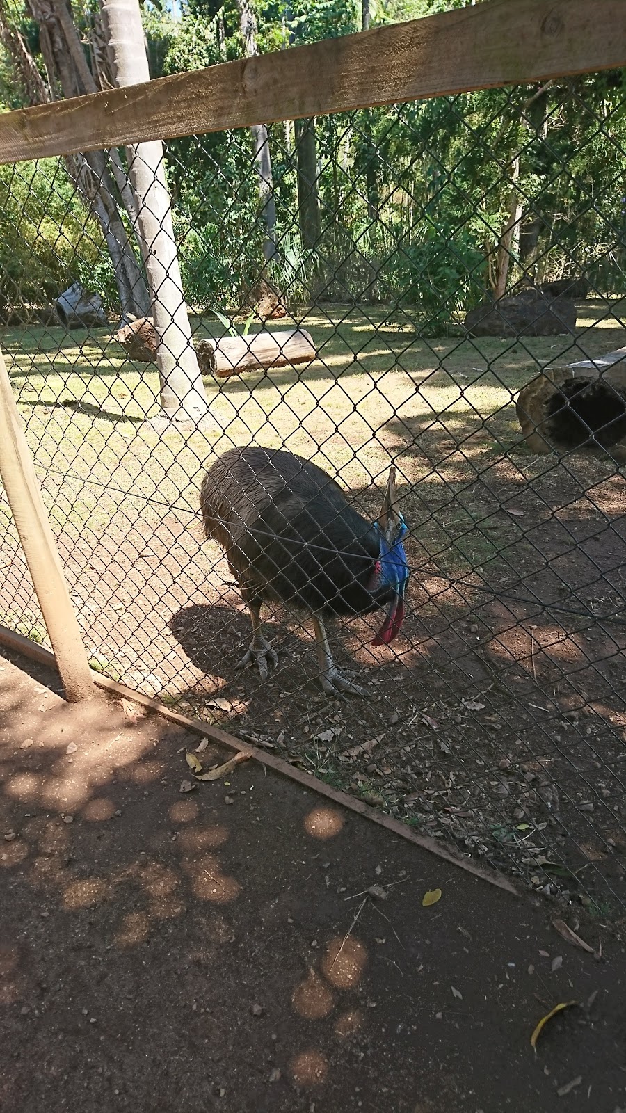 Cooberrie Park Wildlife Sanctuary | 9 Stones Rd, Cooberrie QLD 4703, Australia | Phone: (07) 4939 7590