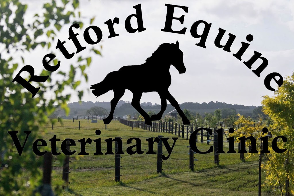 Retford Equine Veterinary Clinic | veterinary care | 234 Old Hume Hwy, Mittagong NSW 2575, Australia | 0248611166 OR +61 2 4861 1166