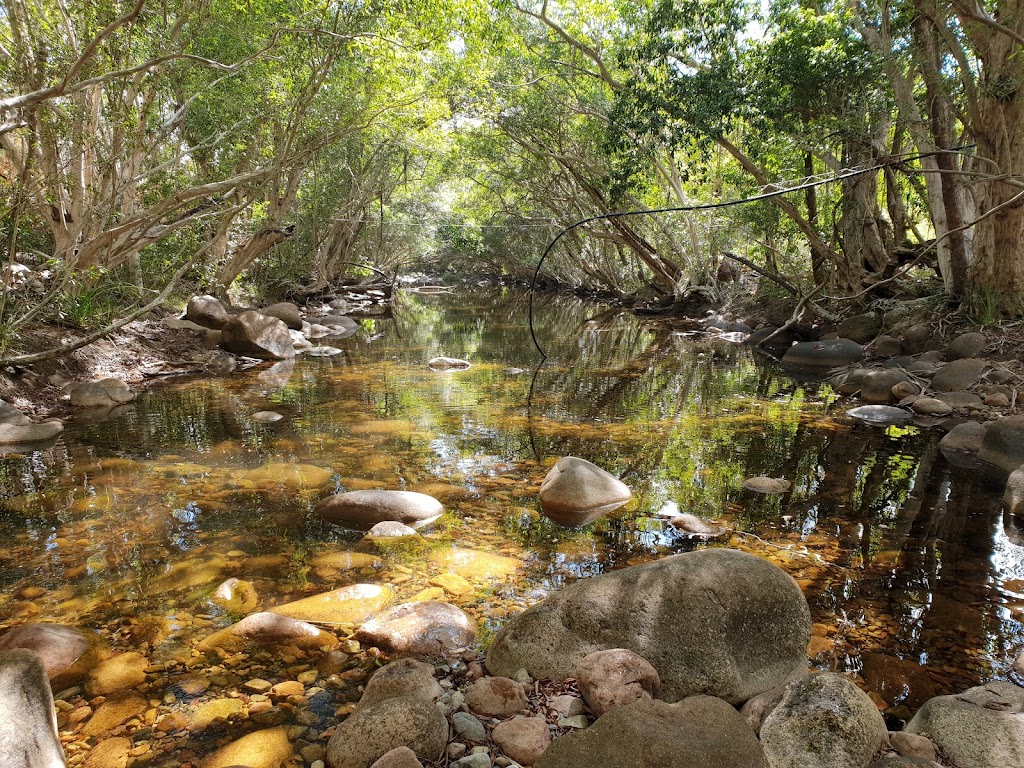 Butterfly Valley | 284 Five Mile Creek Rd, Damper Creek QLD 4849, Australia | Phone: 0458 658 237