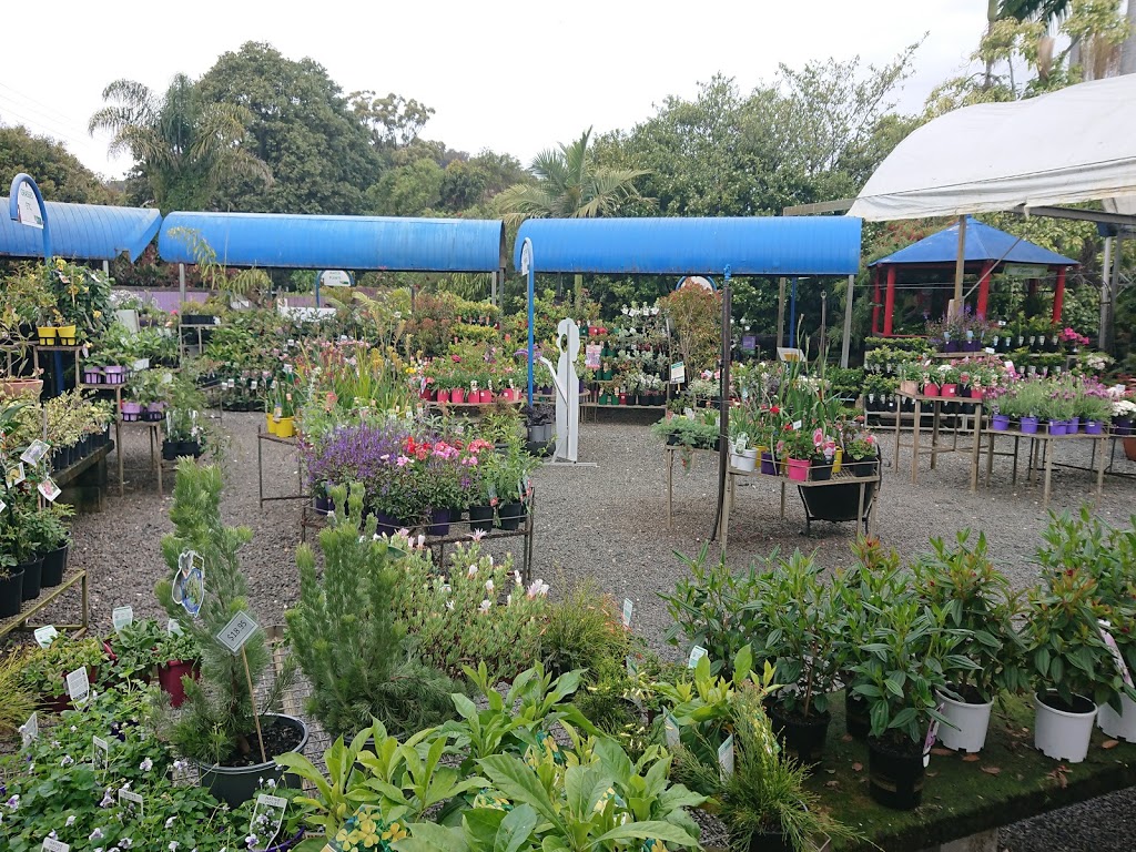 Total Gardens | store | 5 Nelson St, Coffs Harbour NSW 2450, Australia | 0266512002 OR +61 2 6651 2002