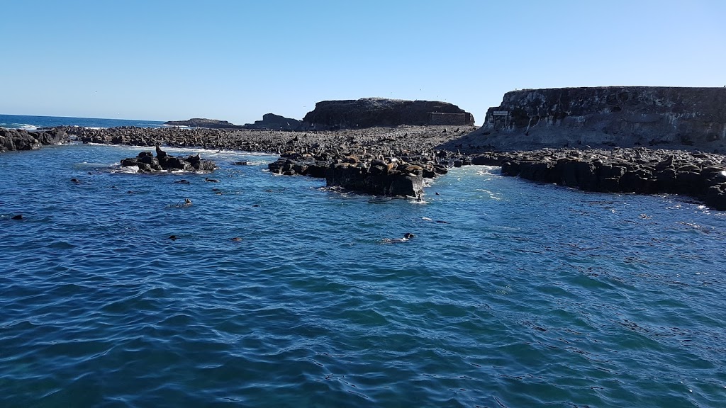 Seal Rocks - Victoria, Australia