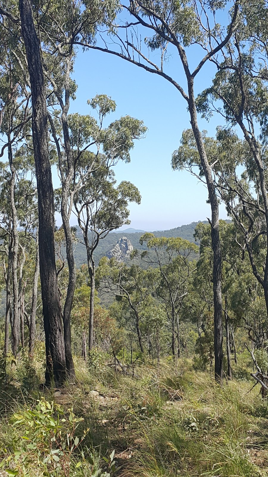 Homevale Resources Reserve | Mount Britton QLD 4742, Australia