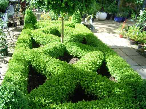 Bowral Box Hedging and Topiary | 11-13 Rose St, Bowral NSW 2576, Australia | Phone: 0410 408 804