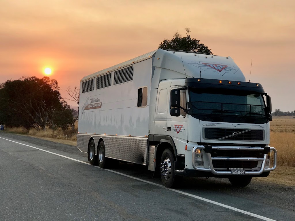 Tasmanian Horse Transport | Brooklyn, 1134 Melrose Rd, Lower Barrington TAS 7306, Australia | Phone: 0428 141 419