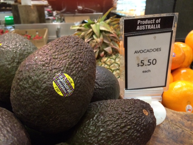 Balmoral Avocados Australia | 160 Evans Road East, Cabarlah QLD 4352, Australia | Phone: (07) 4696 6388